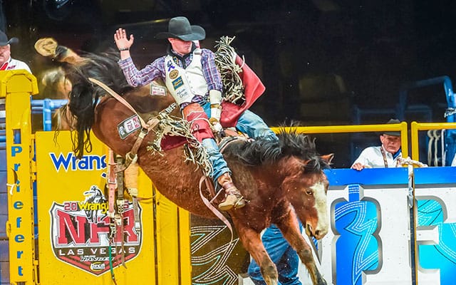 Tim jumping over fence on horse